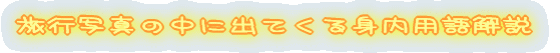 s̎ʐ^̒ɏoĂgp 